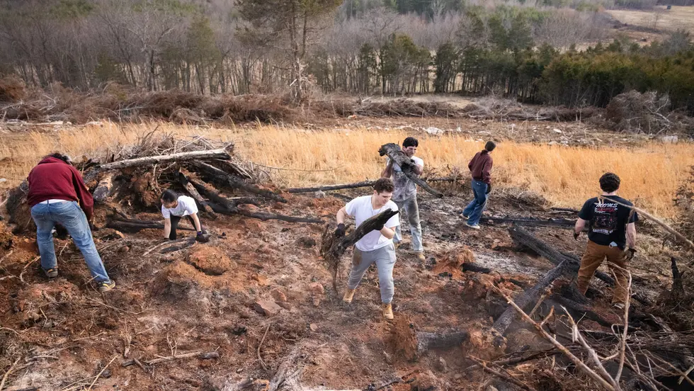 Group of students moving logs and branches