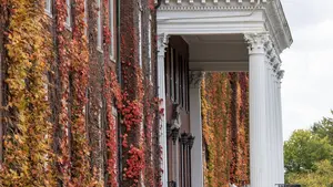 Foliage on campus