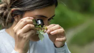 A study conducts plant research during their summer session project