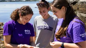 Three students during a summer research session