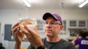 Prof. Justin McAlister examines a research subject at Holy Cross.